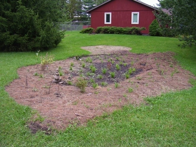 garden-just-planted